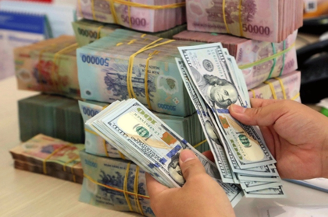 Thị trường Forex đầy biến động và tiềm năng