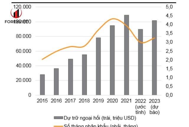 Tầm Quan Trọng của Dự Trữ Ngoại Hối
