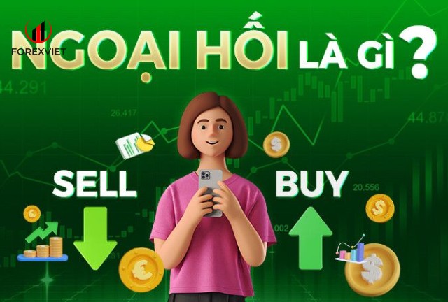 Đây là nền tảng của thị trường Forex
