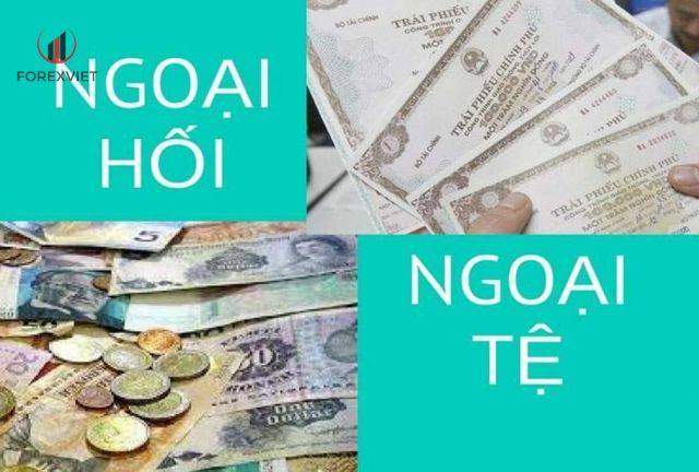 ngoại hối và ngoại tệ