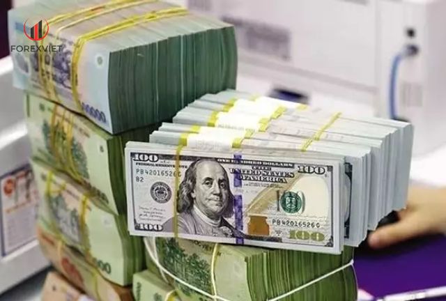 tỷ giá ngoại hối hôm nay